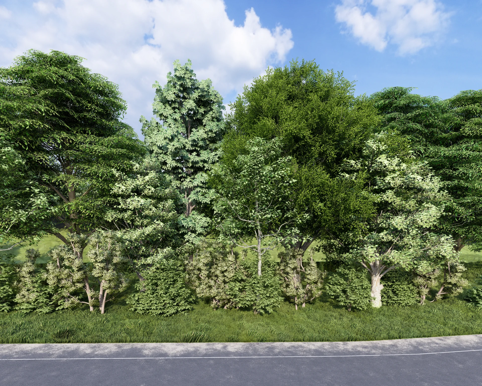 Ground-level view from East Coffee Creek Road showing a mature tree and shrub buffer along the north edge of the Luther Horizon Technology Park parcel, screening the site from the road